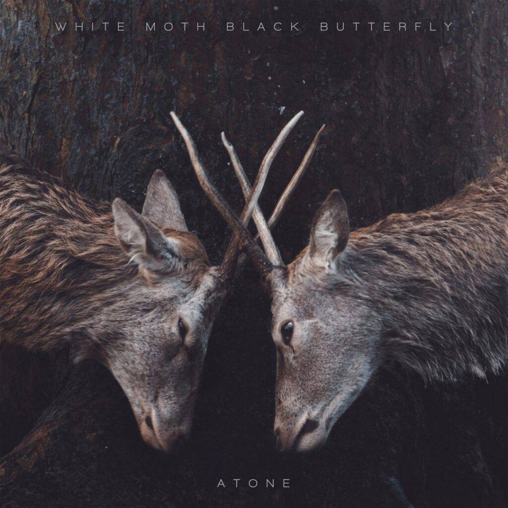 White Moth Black Butterfly – Atone