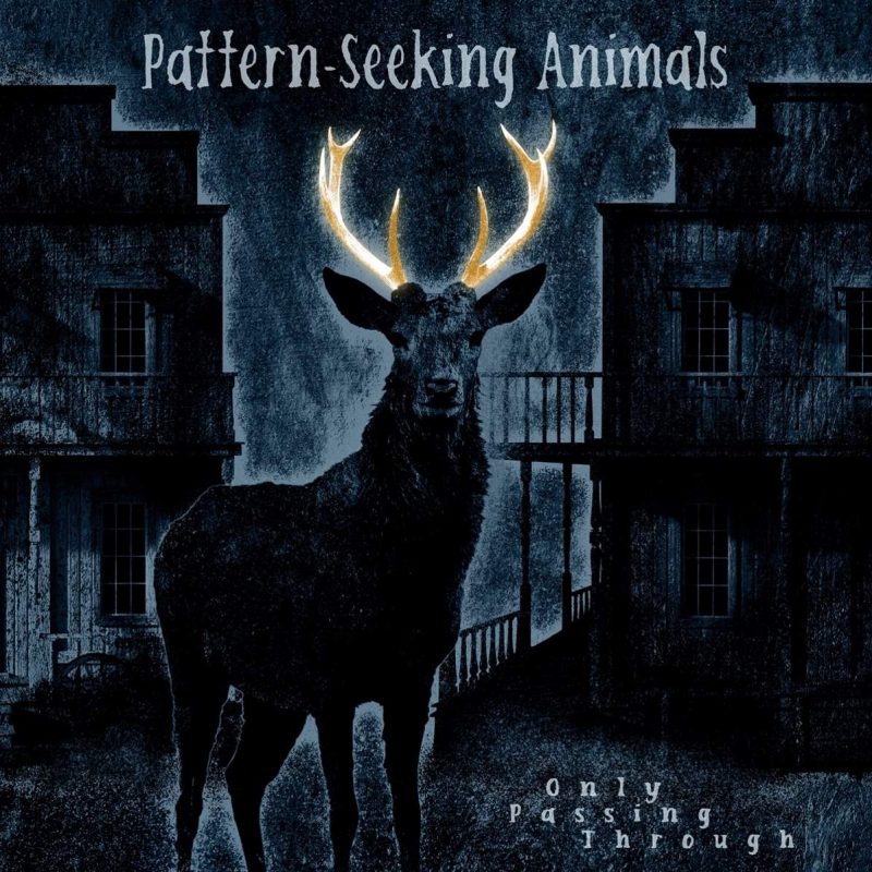 PATTERN-SEEKING-ANIMALS-Only-Passing-Through-Cover-800x800