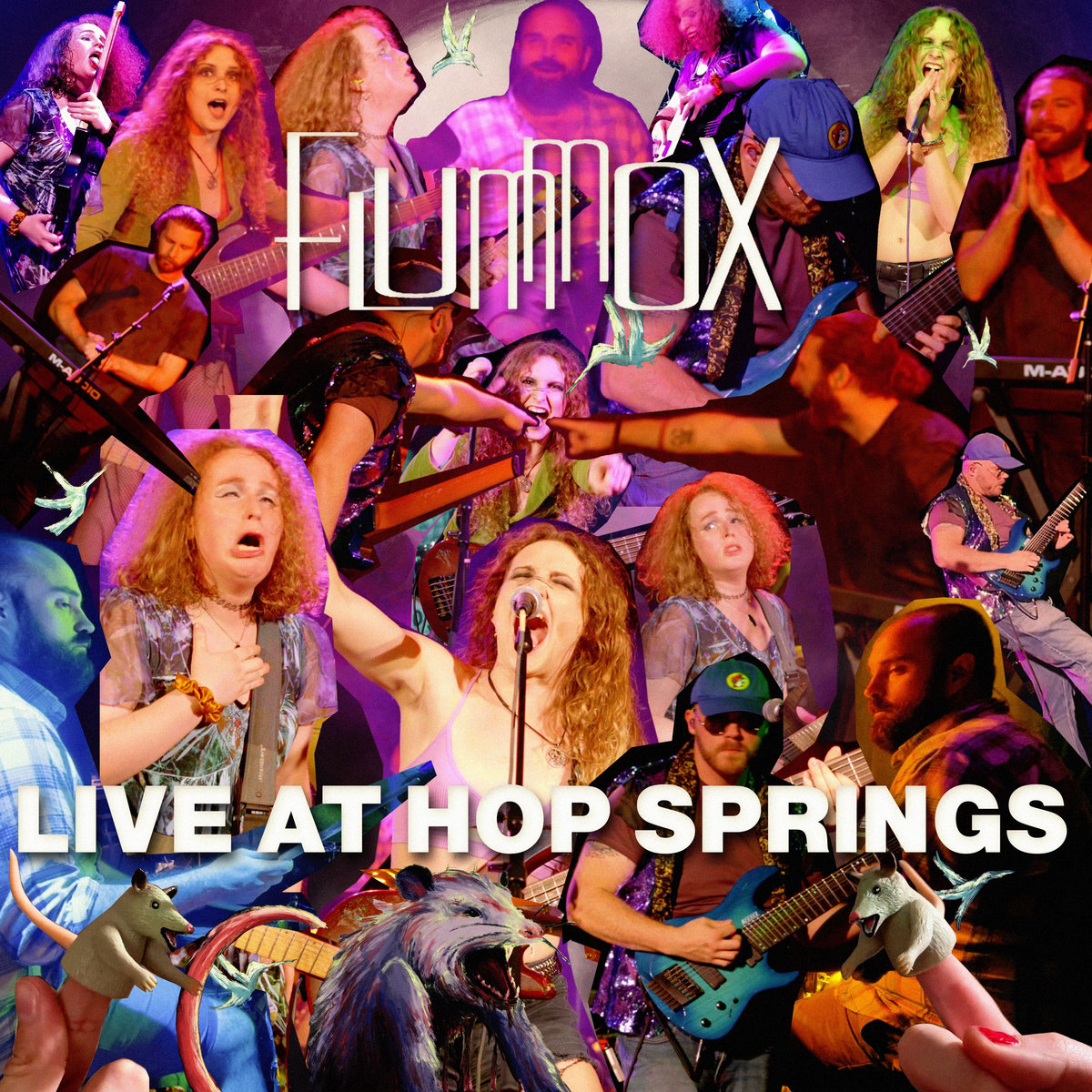 Flummox_LiveAtHopSprings