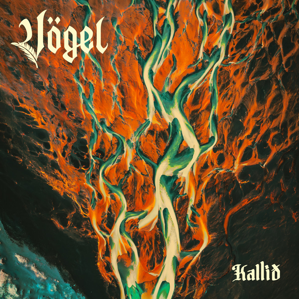 Vögel_Kallid