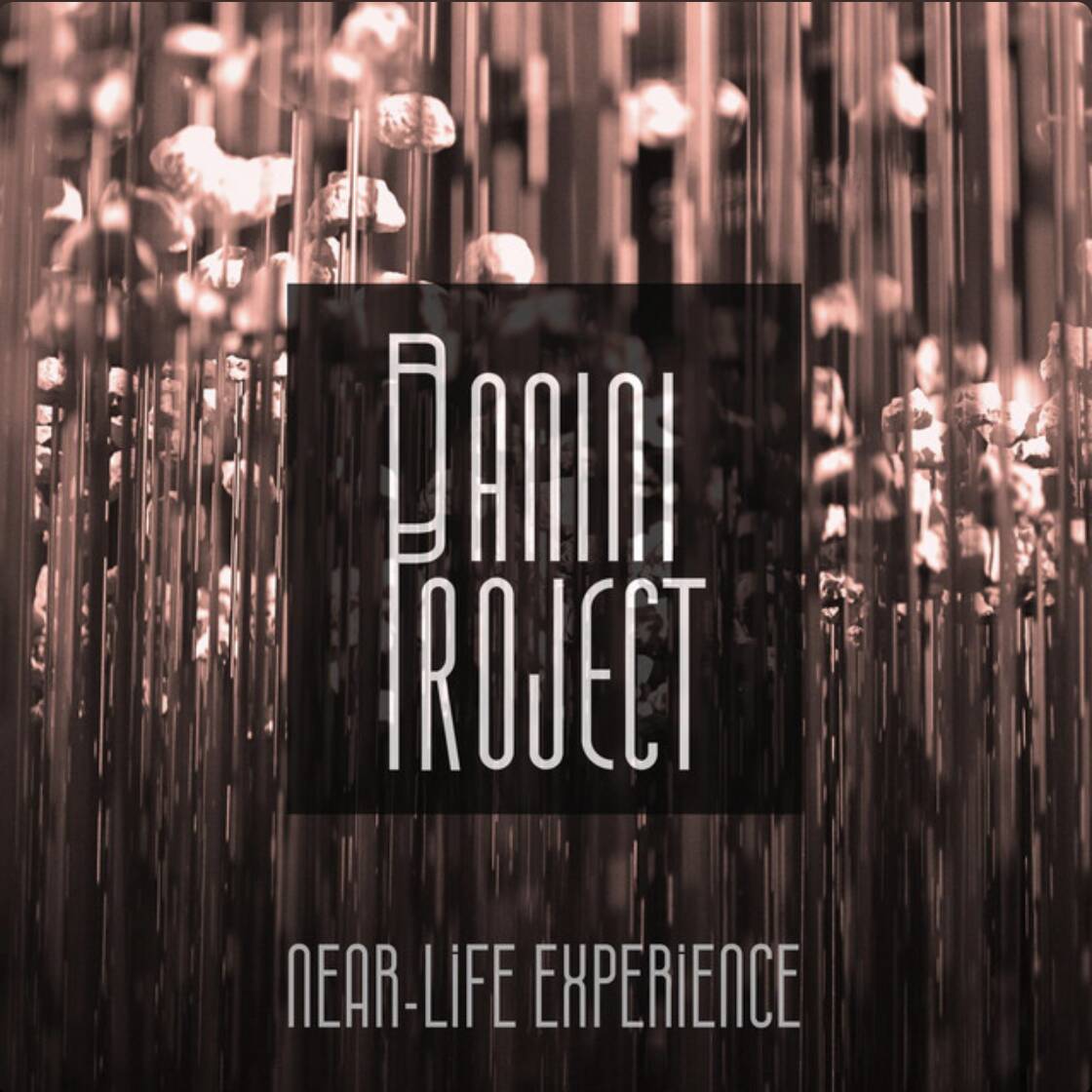 PaniniProject_NearLifeExperience