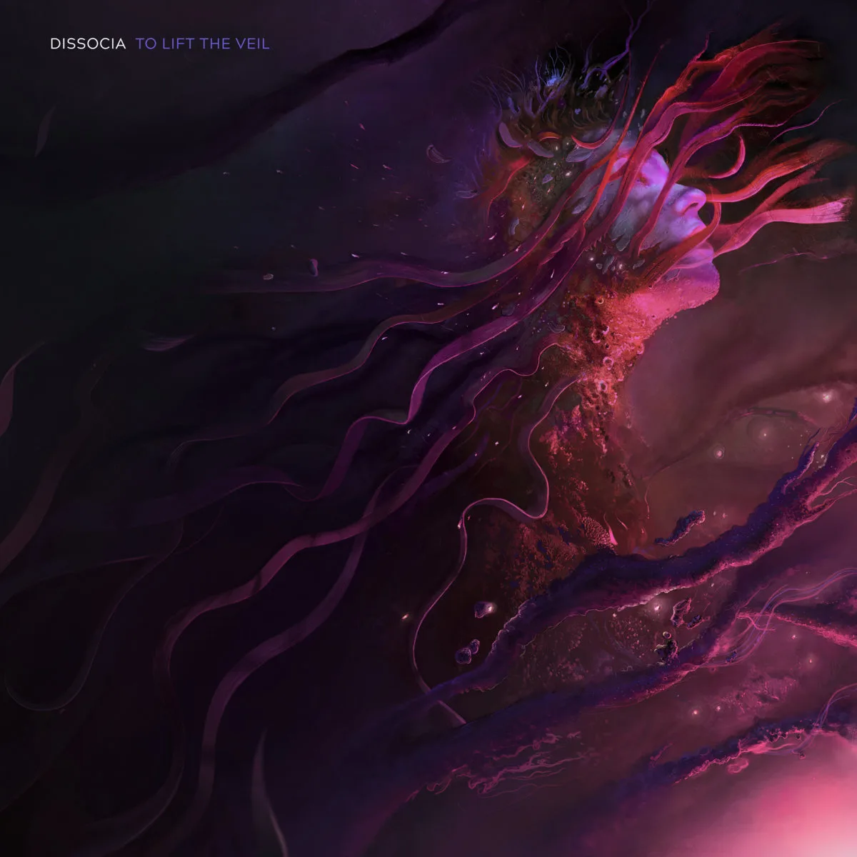 Dissocia_ToLiftTheVeil