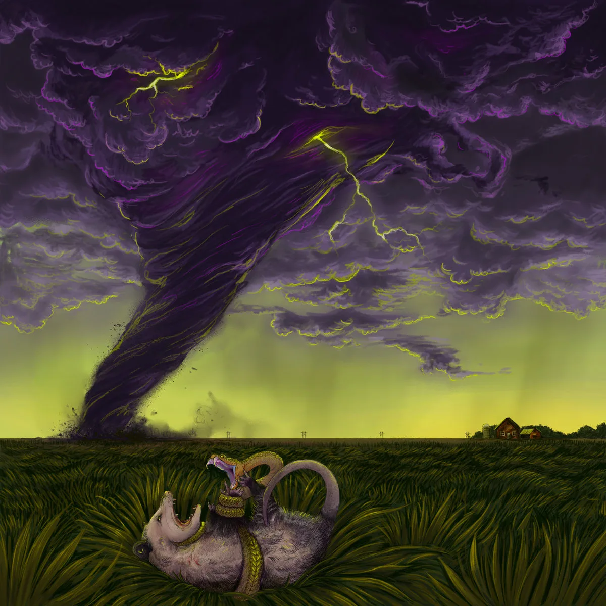 Flummox_SouthernProgress