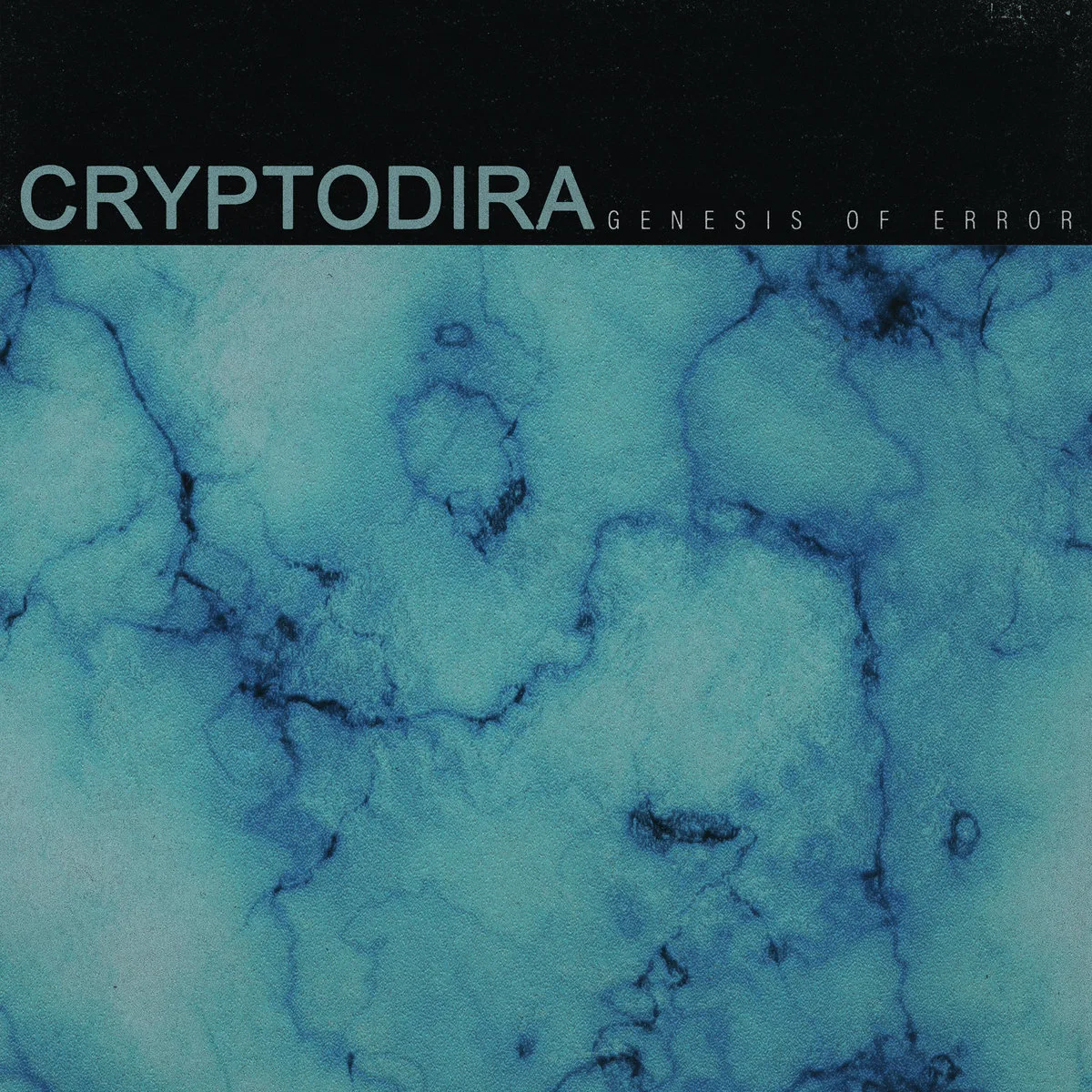 Cryptodira_GenesisOfError