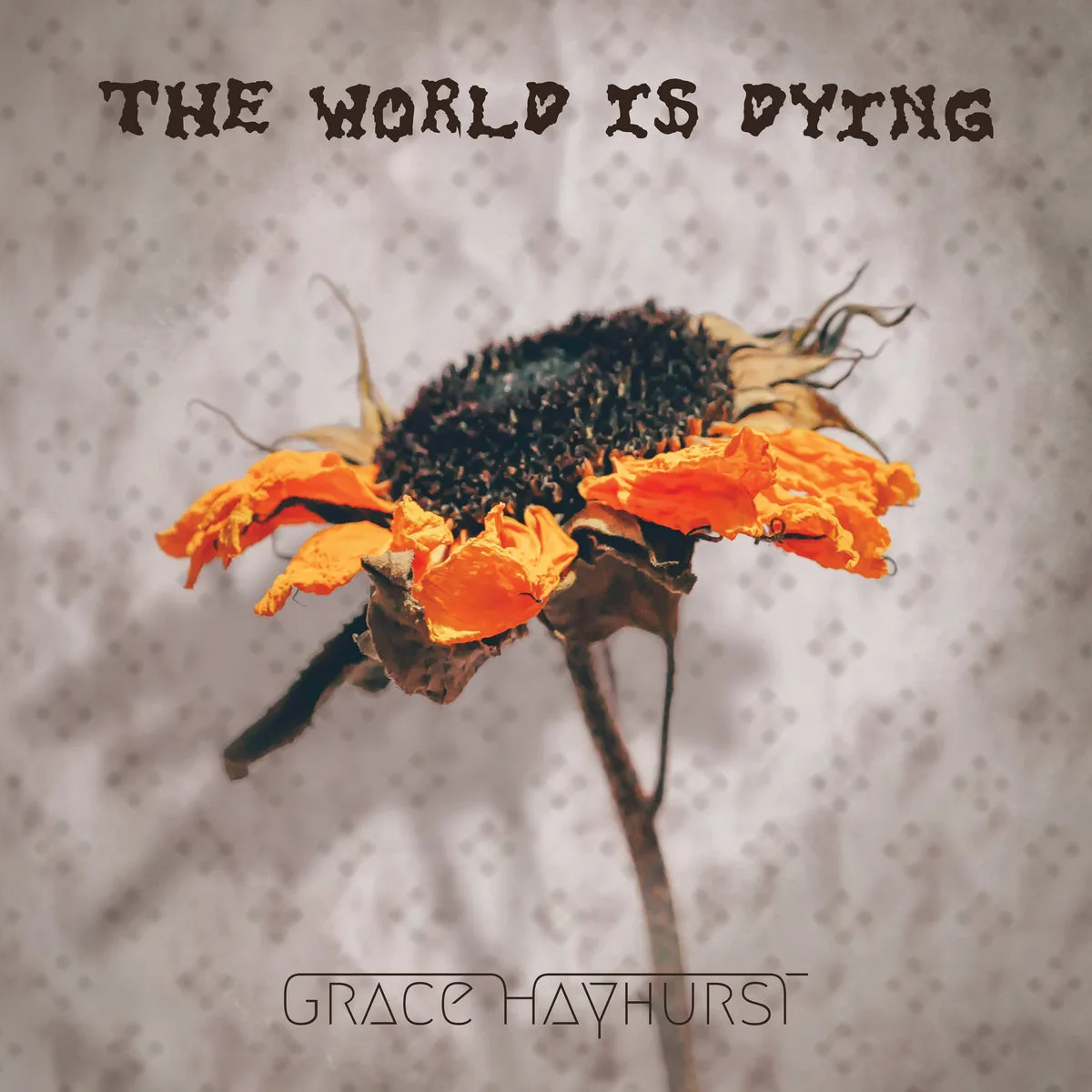 GraceHayhurst_TheWorldIsDying