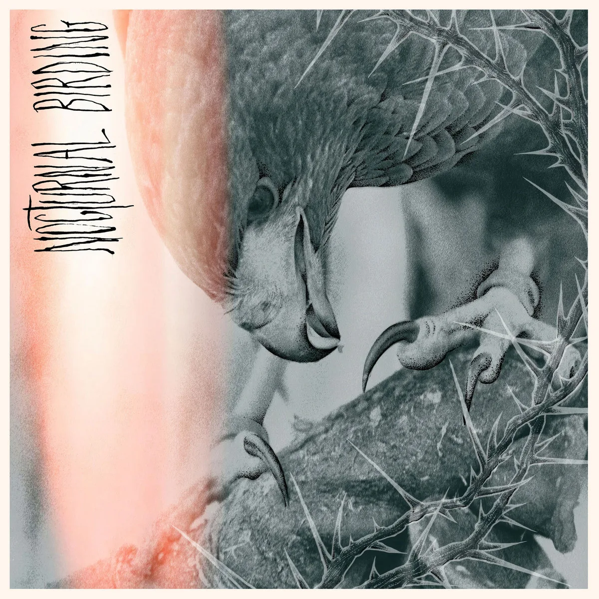 AuthorAndPunisher_NocturnalBirding