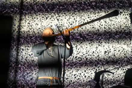 Wardruna Summer Breeze 2025