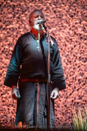 Wardruna Summer Breeze 2025