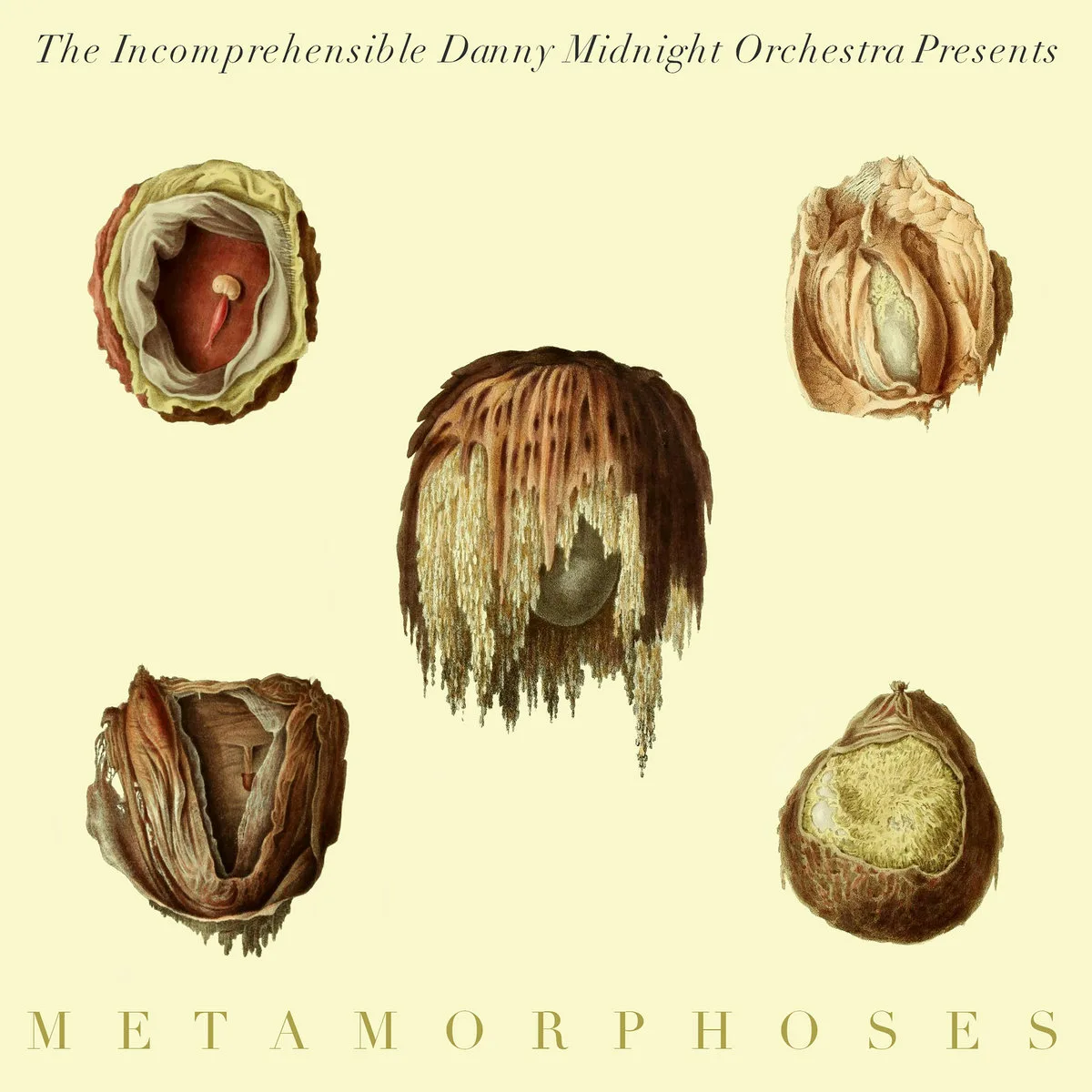 DannyMidnight_Metamorphoses