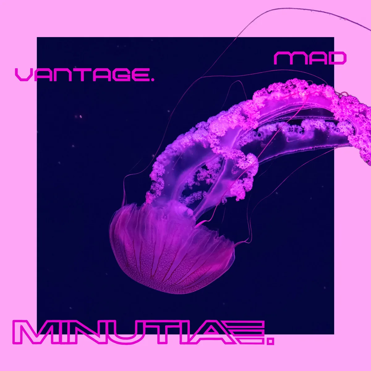 MadVantage_Minutiae