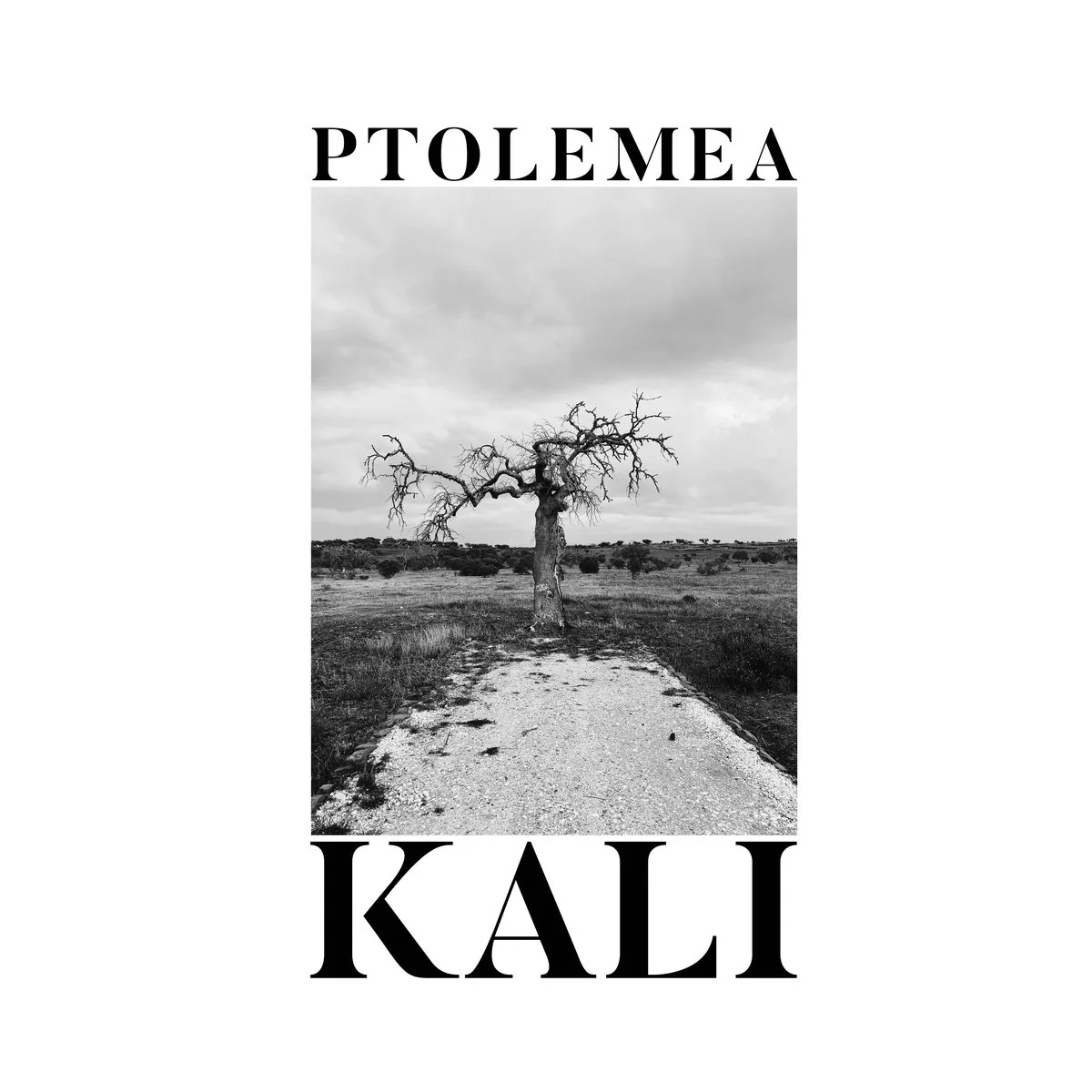 Ptolemea_Kali