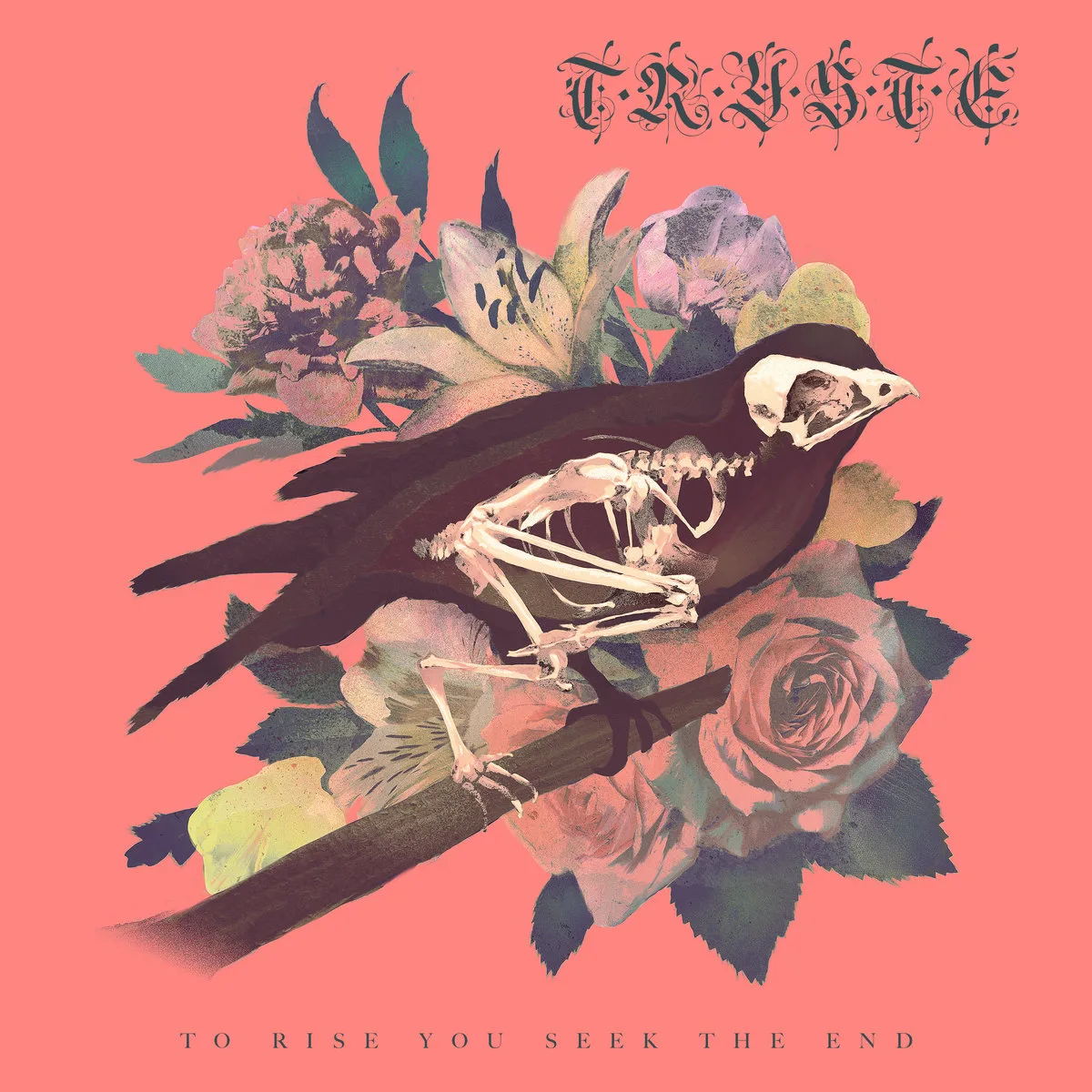 TRYSTE_ToRiseYouSeekTheEnd