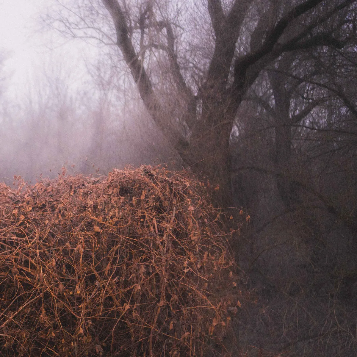 TheDevilsTrade_NincsSzennyezetlenSzep