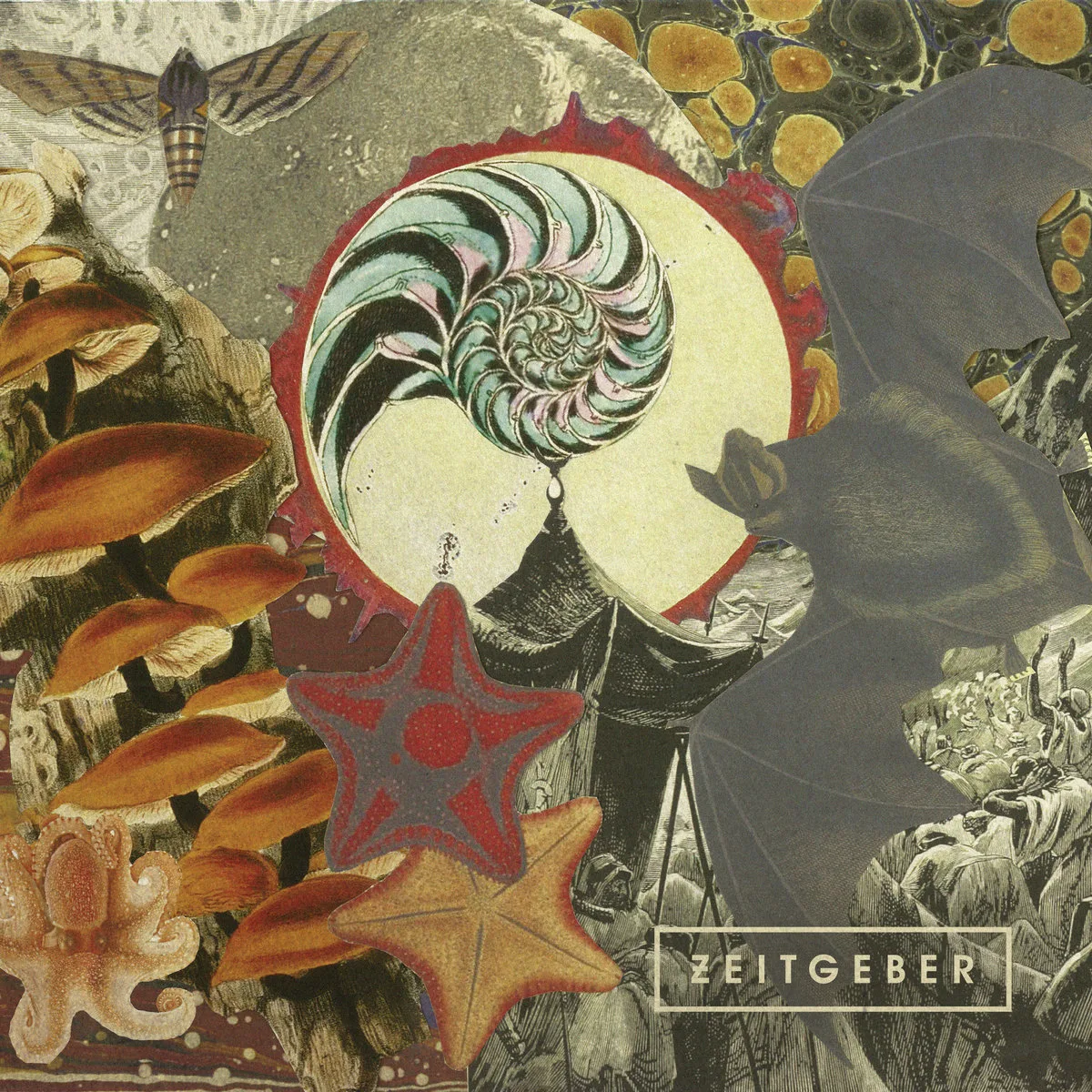 Zeitgeber_FellowPrisonersPart2