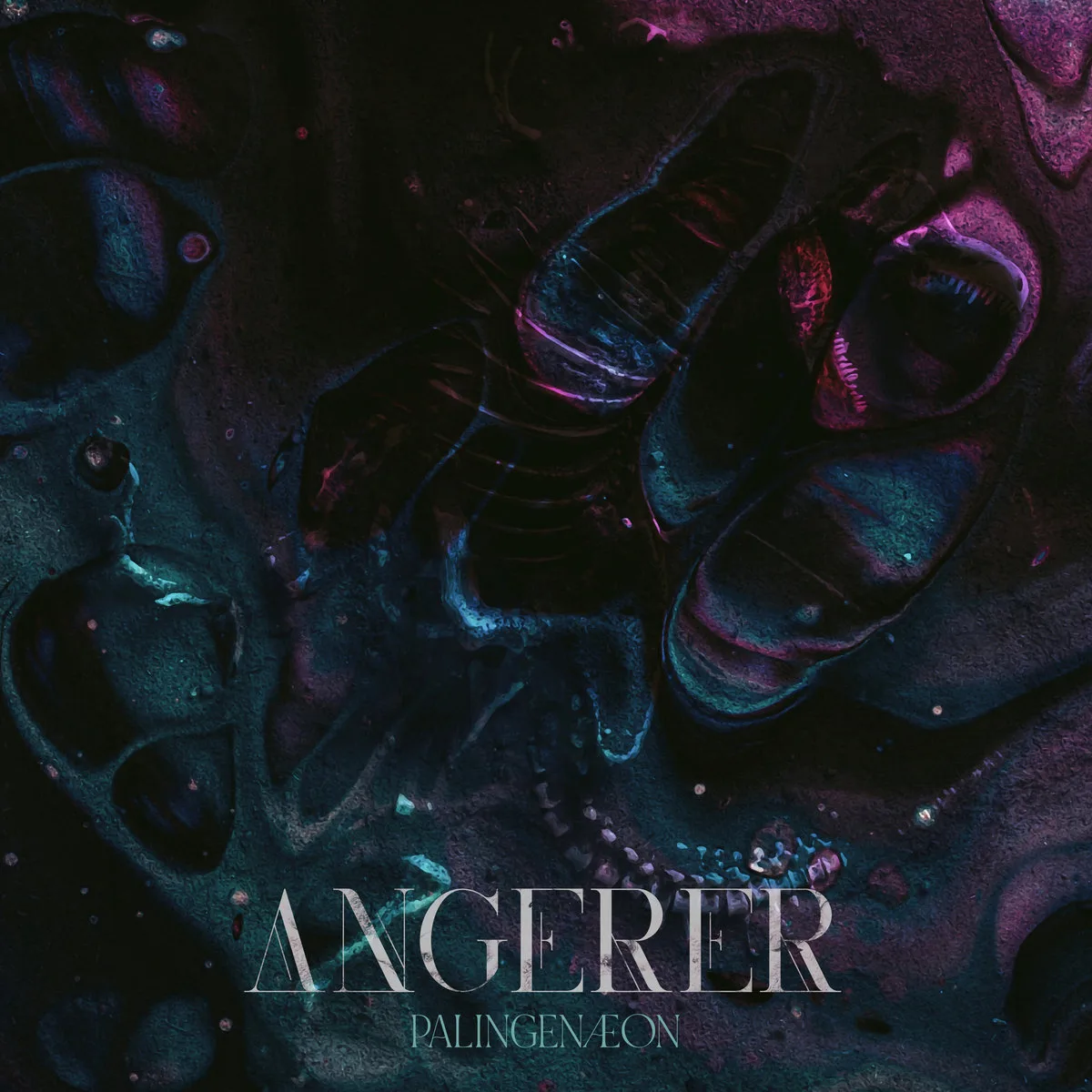 Angerer_Palingenaeon