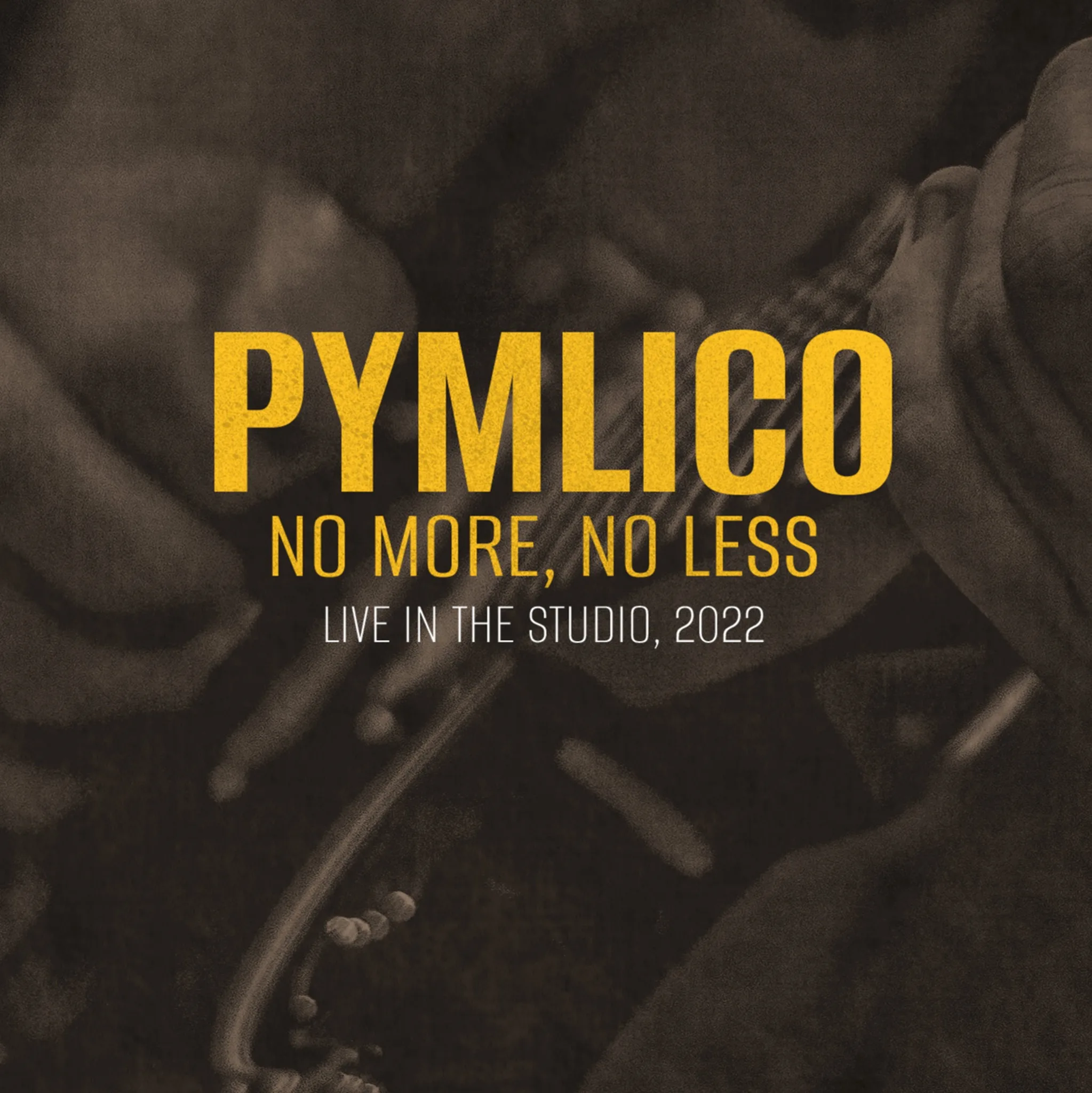 Pymlico_NoMoreNoLess