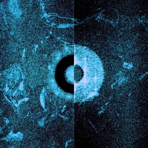 TheScien7ist_Reflections