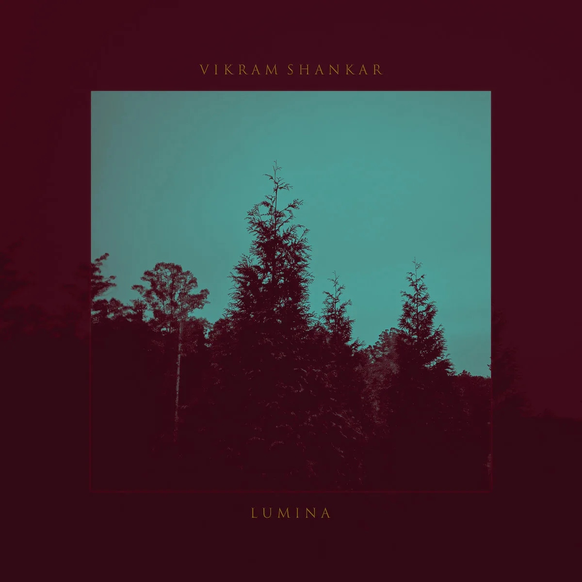 VikramShankar_Lumina