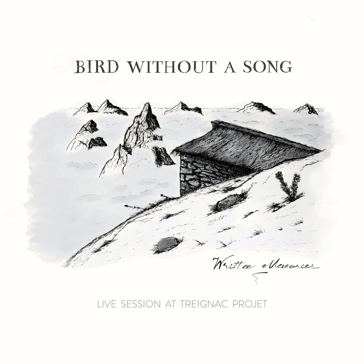 BirdWithoutASong_WrittenMemories