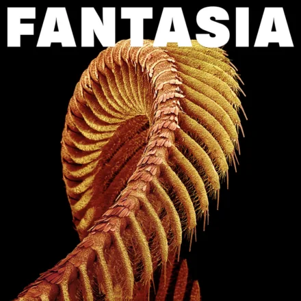 SLIFT_Fantasia